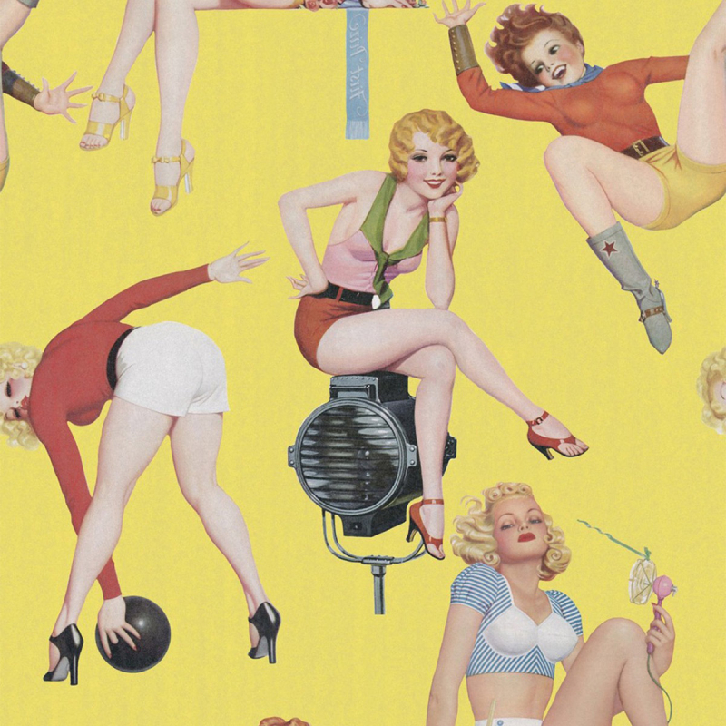 Carta Da Parati Panoramica Ragazze Pin Up Mindthegap