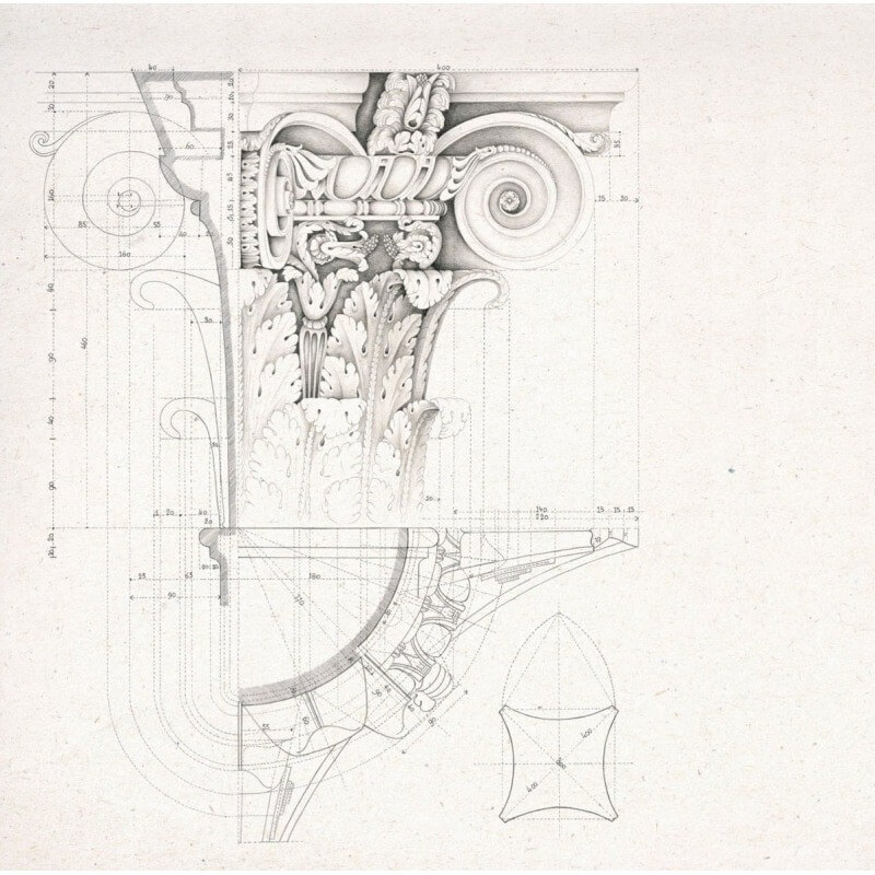 Roma Panel - Coordonné