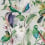 Papeles pintados panorámico Tropical Birds Mindthegap Green/White/Blue WP20172