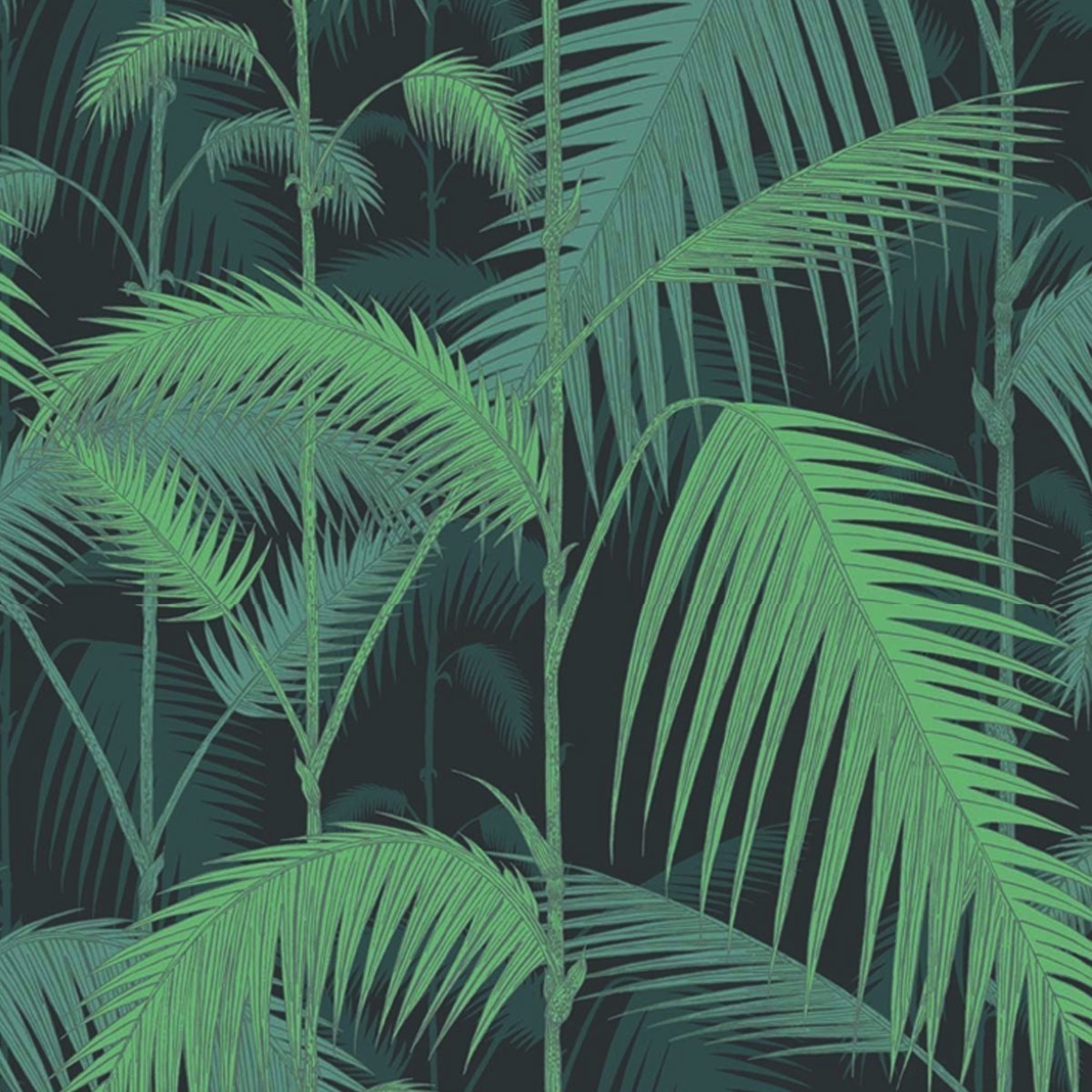 Palm Jungle Wallpaper - Cole and Son