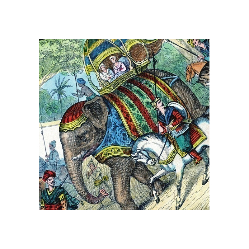 Eléphant Maison