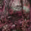 Papeles pintados panorámico Jungle Walls by Patel Magenta 110692