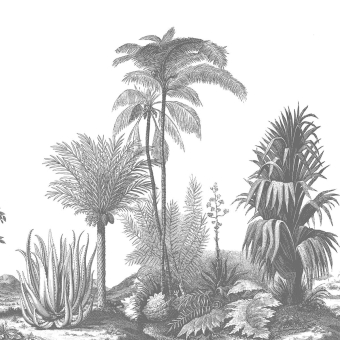 Papeles pintados panorámico Aloes