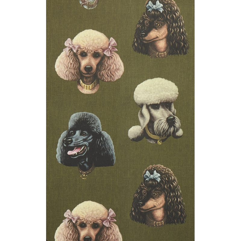 The poodle hot sale parlour