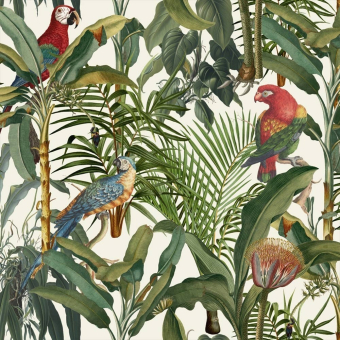 Papeles pintados panorámico Parrots Of Brasil