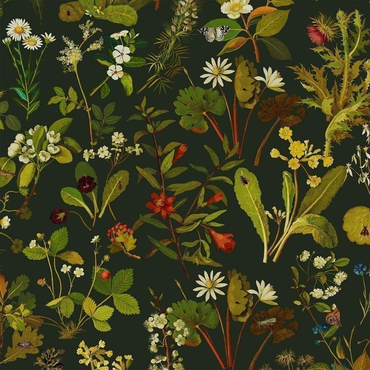 Borãstapeter Herbarium Multi Wallpaper | DecoratorsBest