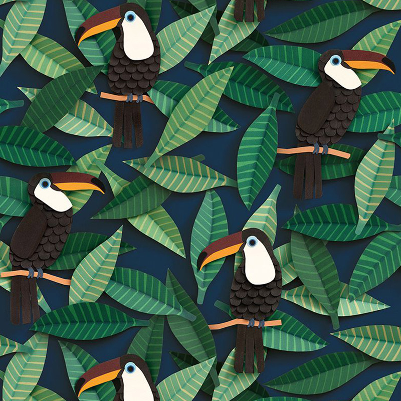 Toucan wallpapers, wall murals - ColorayDecor.com