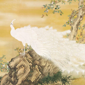 Papeles pintados panorámico Fuji Flutter