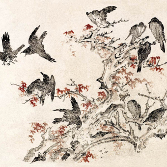 Papeles pintados panorámico Oiseaux dans les branches d'un érable