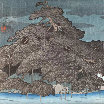 Papeles pintados panorámico Pluie du soir à Matte sunoshima