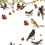 Papeles pintados panorámico Oiseaux de nos Campagnes Maison Images d'Epinal 200x300 cm - 3 tiras Oiseaux de nos Campagnes 200x300