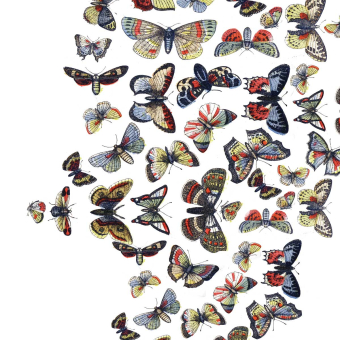 Papeles pintados panorámico Envol de Papillons