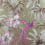 Papel pintado Bird of Paradise Matthew Williamson Brown/Fuchsia W6655/02