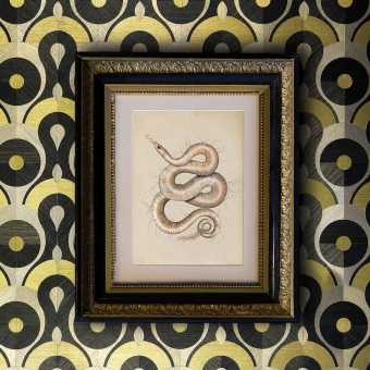 Queen Cobra Wall Covering