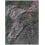 Tappeti Wild Vibrations Yo2 Pink WV3.01.1-FOLLY SOFT-200x300