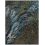 Tappeti Wild Vibrations Yo2 Blue WV3.01.2-FOLLY SOFT-200x300