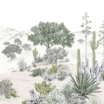 Carta da parati panoramica Succulentes