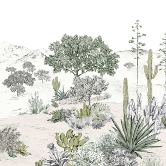 Succulentes Panel