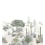 Papier peint panoramique Succulentes Isidore Leroy Naturel 6247607 et 6247609