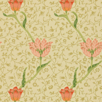 Garden Tulip Wallpaper