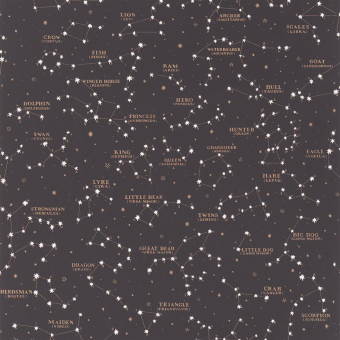 Papier peint Starry Sky