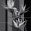 Strelitzia Panel London Art Noir 21012-06