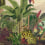 Papeles pintados panorámico Reverie Tropicale Arte Jungle Green 26770