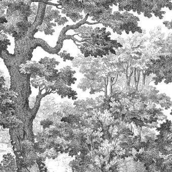 Papeles pintados panorámico Forêt 2