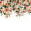 Papeles pintados panorámico Lush Flowers Lilipinso Multicolore H0656