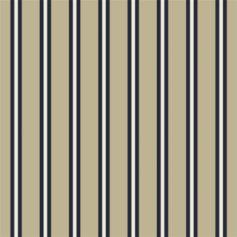 Tissu Outdoor Cricket Stripe