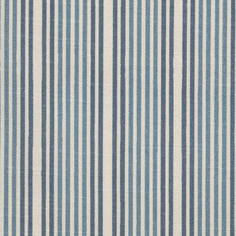 Regent Stripe Fabric