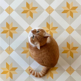 Eduardo cement Tile