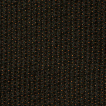 Future Loop Fabric