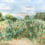 Panoramatapete Roses trémières Isidore Leroy Prairie 6262900