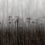 Carta da parati panoramica Autumn Haze Rebel Walls Black and White R18854