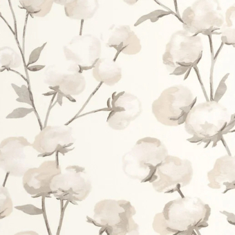 Cotton Flower Wallpaper