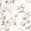 Cotton Flower Wallpaper Casadeco Fusain 200290909