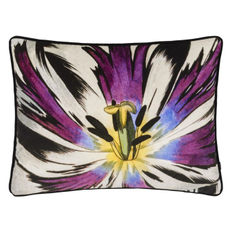 Eclosion Cushion