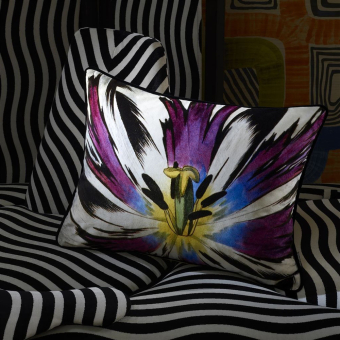 Eclosion Cushion