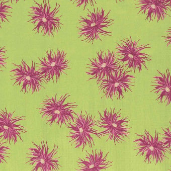 Azami Fabric