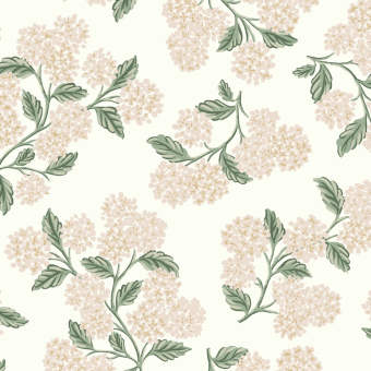 Hydrangea Wallpaper