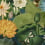 Papier peint panoramique Lotus Blossom Mindthegap Lotus WP20723