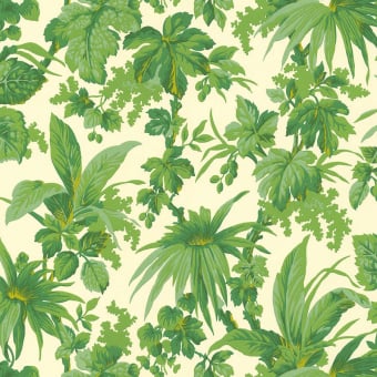 Tropical Wallpaper