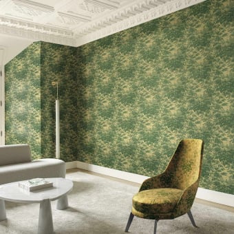 Toile Soie Wall Covering