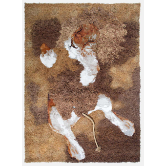 Lion Rug