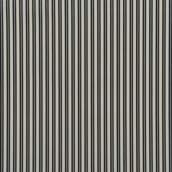 Norbury Stripe Fabric