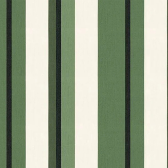 Stripes Canyon Outdoor Fabric