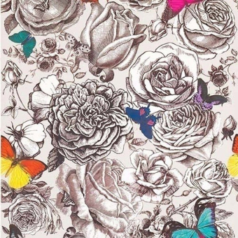 Papel pintado Butterfly Garden